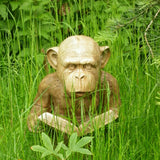The Enlightened Ape