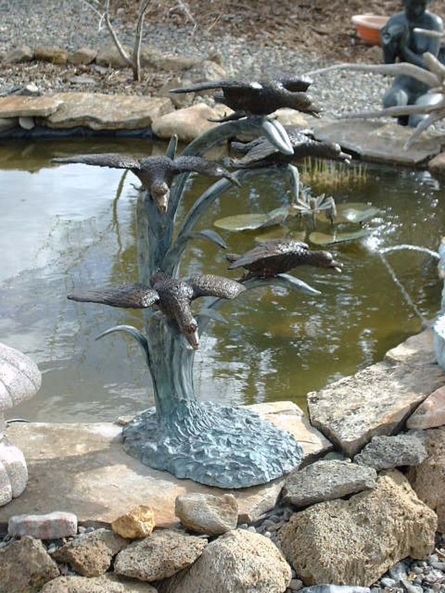 5 flying Ducks