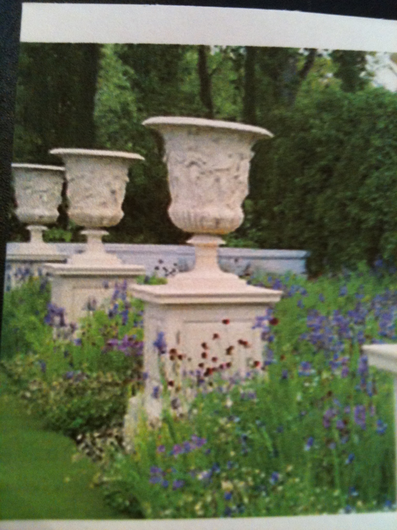 urn vatican