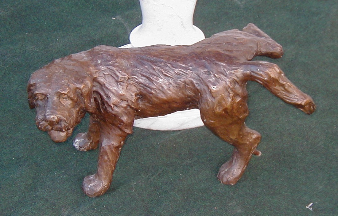 Go, Dog, Go