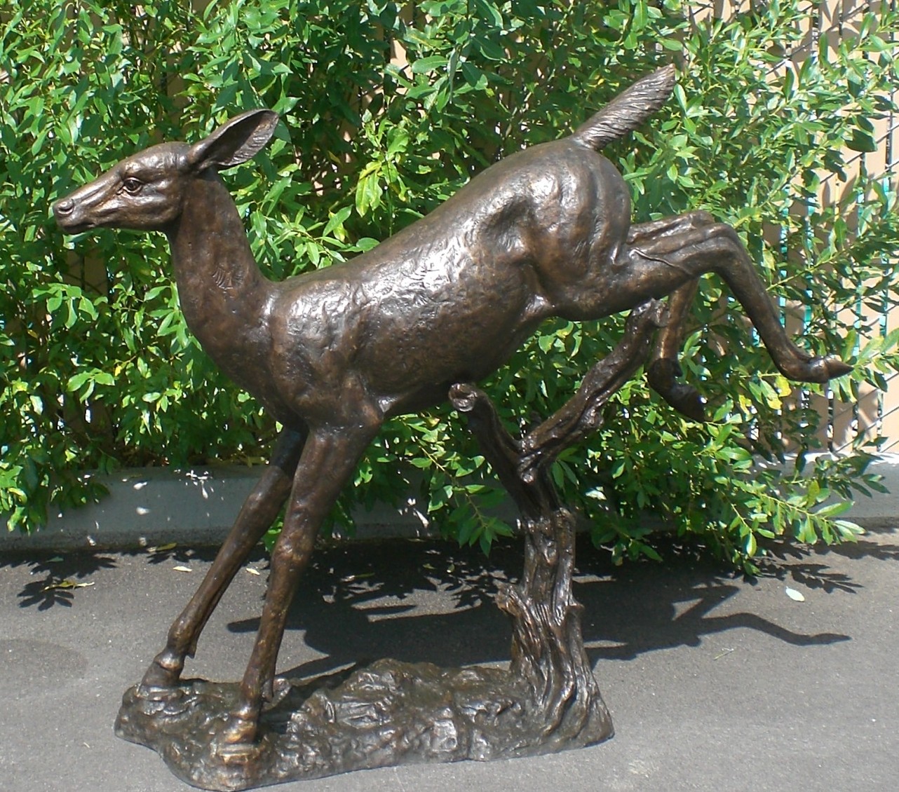 Leaping deer