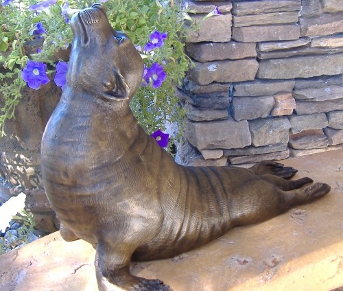 Sea lion