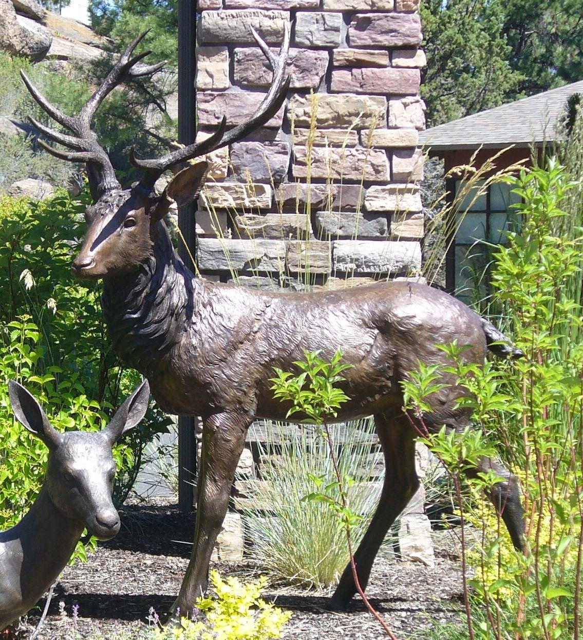 Standing buck