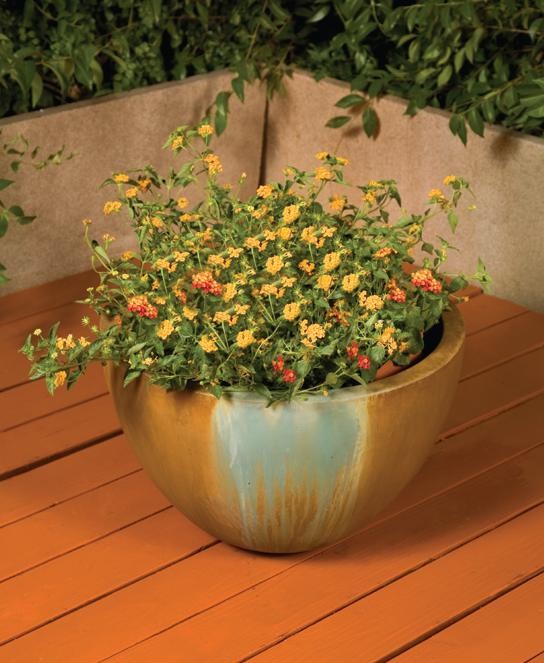 Teacup Planter