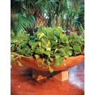 Cross Wok Planter