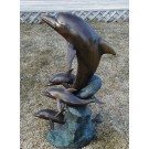 Dolphin with babies