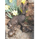 Rabbit & babies