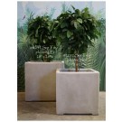 Square Tree Planter- Medium