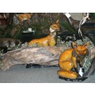 Foxes