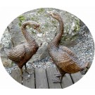 Geese Pair