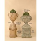 Antinori Urn