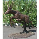 Leaping Pronghorn