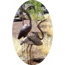 Medium/Large heron pair