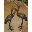 Small herons pair