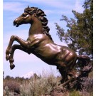 Rearing horse