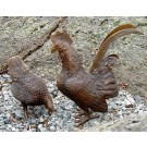 Rooster/Hen Pair