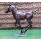 Running foal