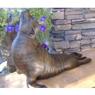Sea lion