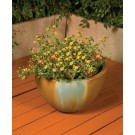 Teacup Planter