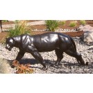 Cougar walking
